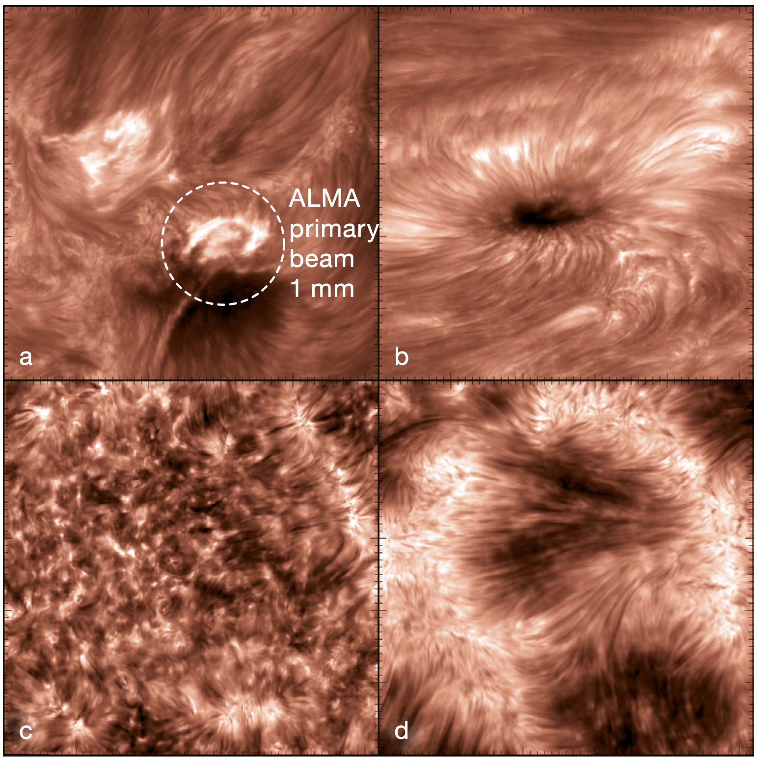 image composition of the sun at different wavelengths
