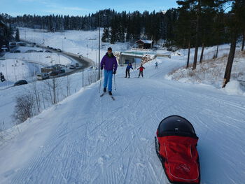 Snow ,Slope ,Tree ,Sports equipment ,Outdoor recreation.
