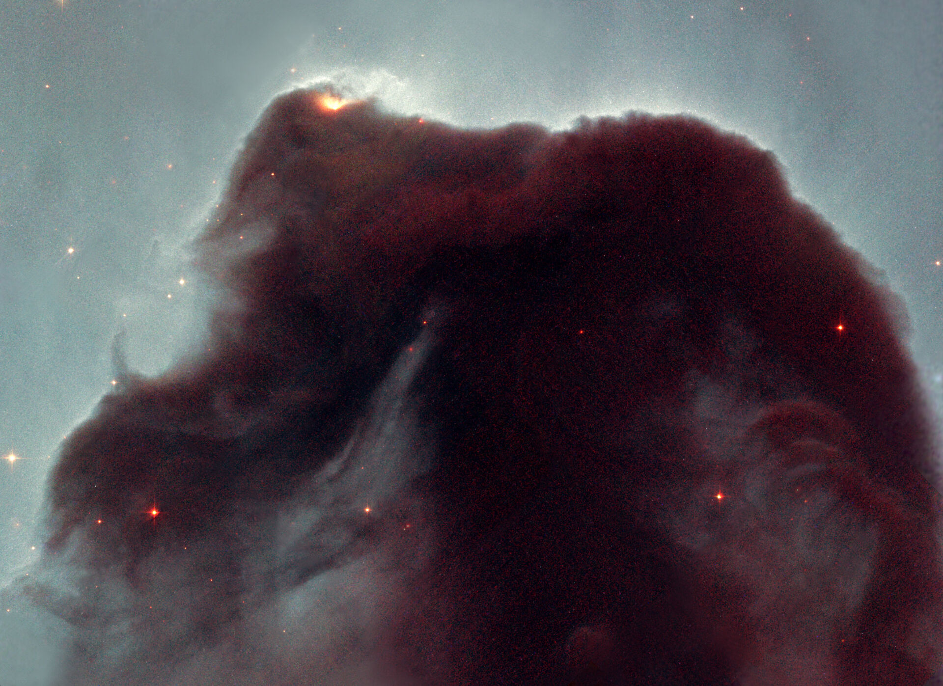 Image of the Horsehead Nebula located in the constellation of Orion. The nebula is a cold, dark cloud of gas and dust silhouetted against the bright nebula, IC 434.