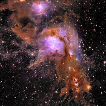 Dette betagende bildet viser Messier 78, en livlig stjernefødestue innhyllet i interstellar støv. Euclid kikket dypt inn i denne fødestuen ved hjelp av sitt infrarøde kamera, og avslørte for første gang skjulte områder av stjernedannelse, kartla de komplekse filamentene av gass og støv med enestående detaljer, og avdekket nydannede stjerner og planeter.