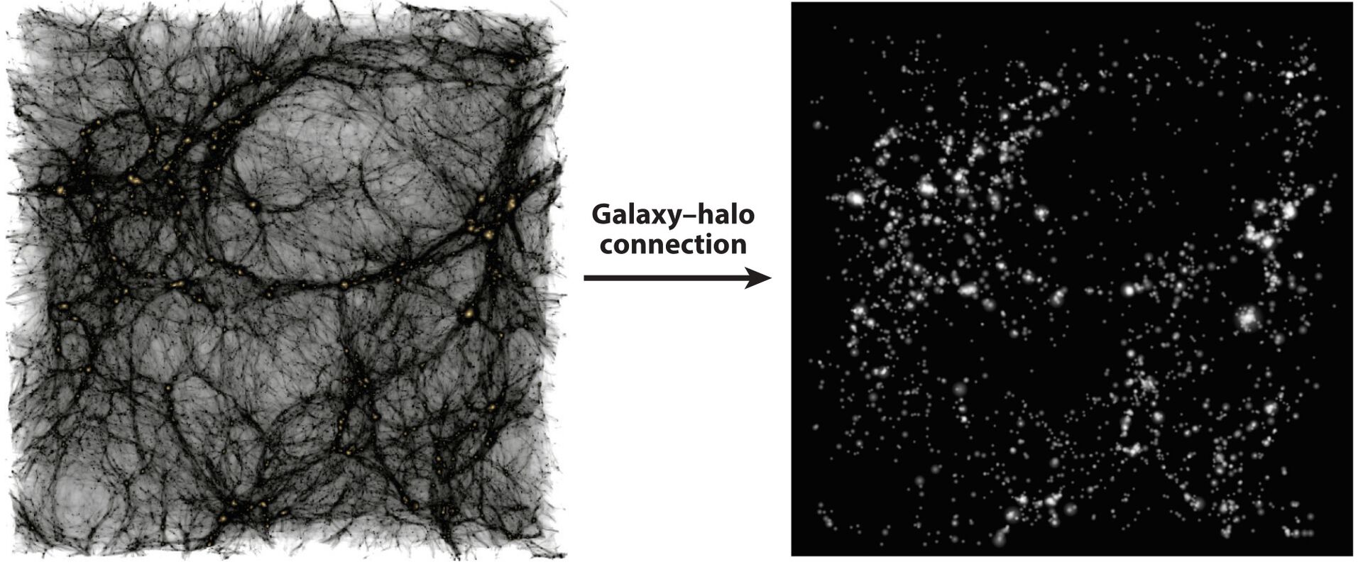 image composition of a simulation of the cosmic web