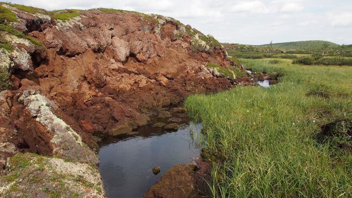Photo of thawing permafrost