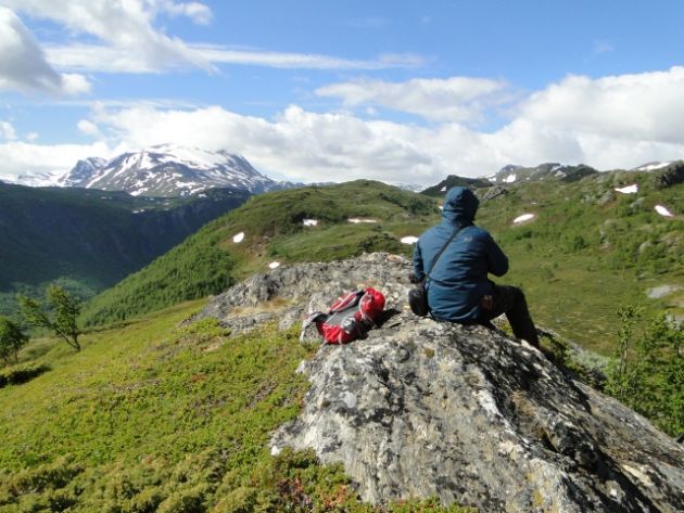Summer fieldwork in the Norwegian mountains. Photo: Manar Alsaif