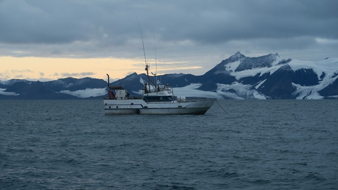 Field work photo 2: Picture from field work at Svalbard by Linda Haaland. Photo: Linda Haaland
