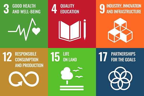 Sustainable development goals: 3. Good health and well-being. 4. Quality education 9. Industry, innovaton and infrastructure. 12. Responsible comsumption and production 15. Life on land. 17. Partnerships for the goals