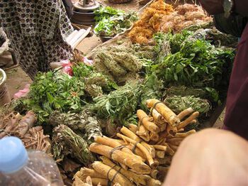 Food ,Plant ,Ingredient ,Natural foods ,Tuber.
