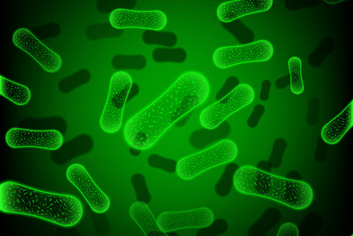 Illustrasjon av bakteriar