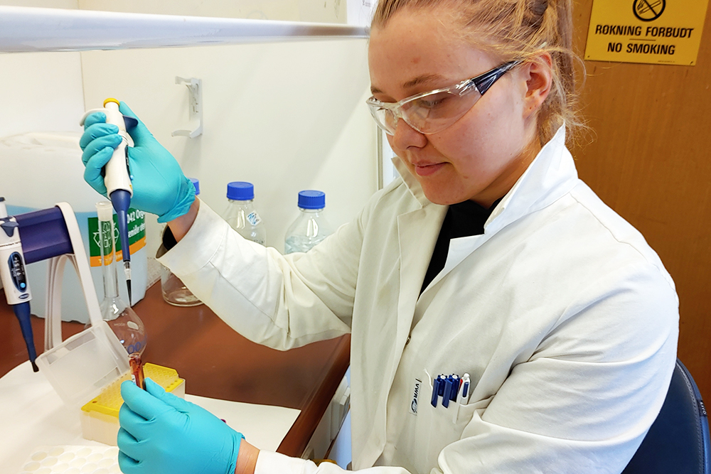 Maria Schüller hentar blod frå eit reagensglas med pipette