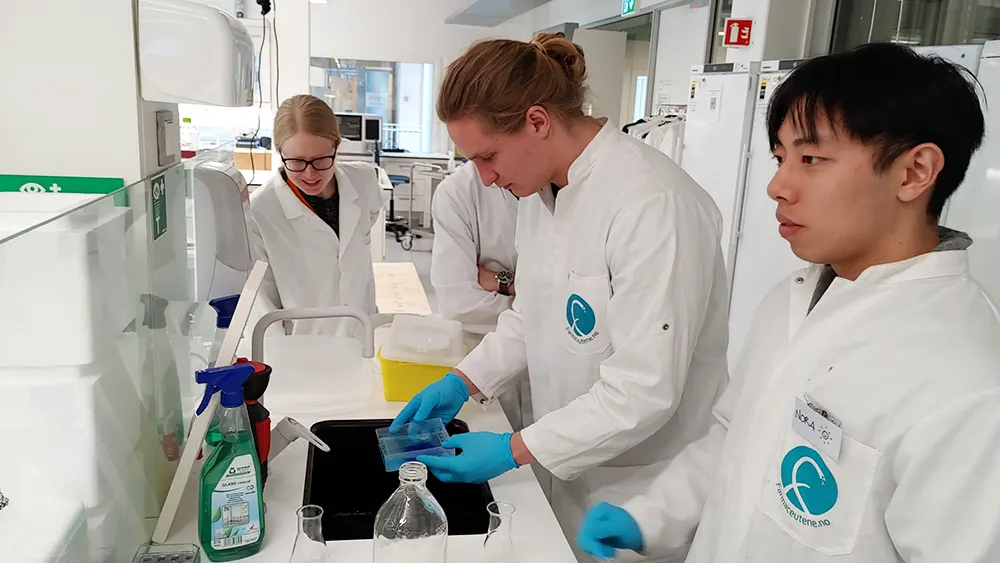 Ei gruppe studentar samla rundt ein vask i laboratoriet