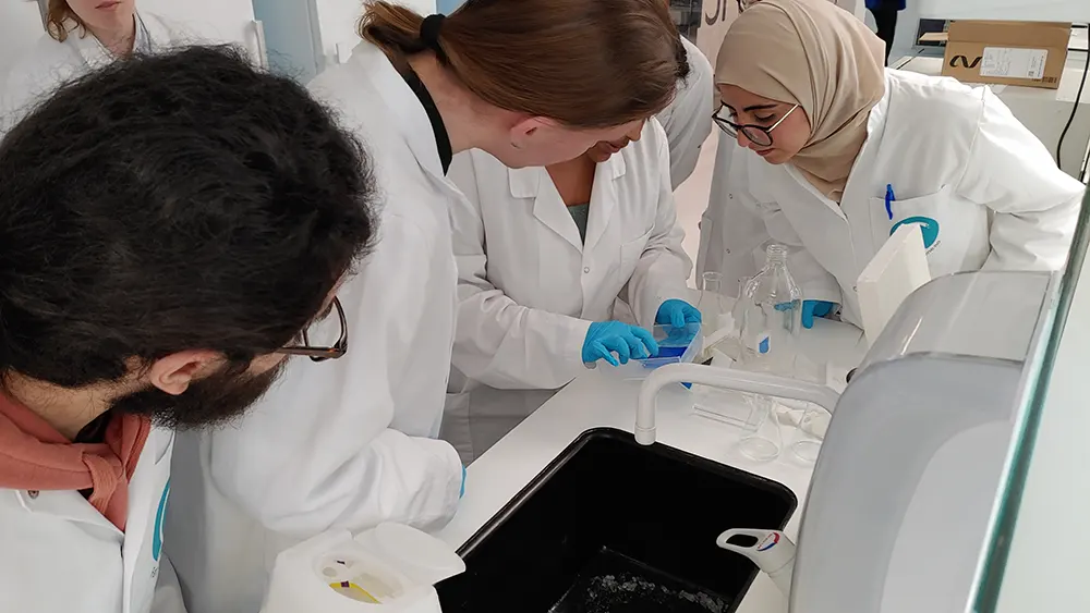 Ei gruppe studentar studerer ein prøve over ein vask i laboratoriet