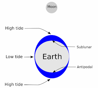  Tidal bulges on both sides of the earth