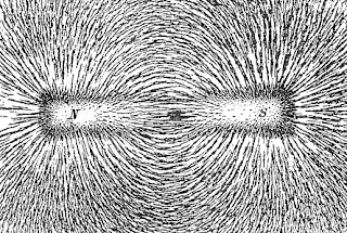 Magnetic field lines as shown by iron filings sprinkled on paper above a bar magnet