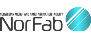 NorFab logo