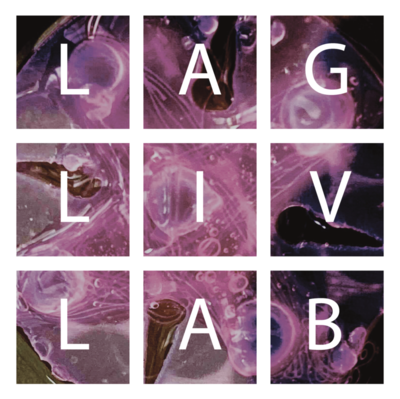 logo laglivlab