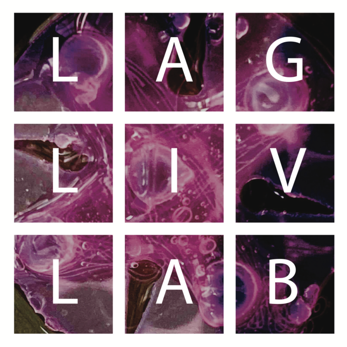 logo for laglivlab - 9 rosa kvadrater