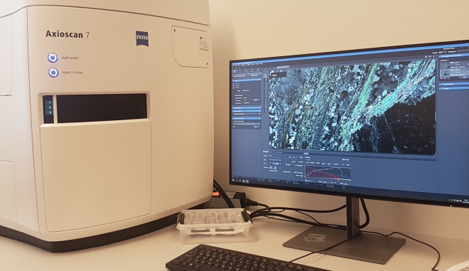 The Microscope Slide Scanner and the Zeiss ZEN software is easy to use in analyses of geological material prepared as a thin section. Photo: Kristina Dunkel, UiO