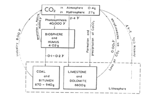 Figure 3 The geochemical cycle of carbon (1 'Y = 10-6 gram); after Goldschmidt, Geol. Foren. Forh., vol. 56, p. 416, 1934.