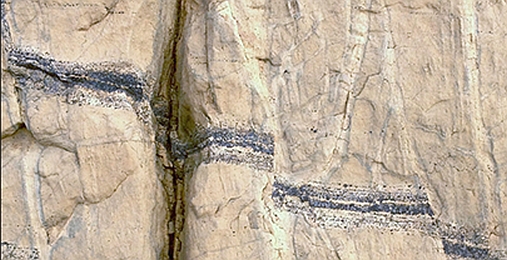 Figure: Reactive fluid migration in stressed rocks. The dark layer is offset by a number of faults caused by tectonic stress. Fluids passing through these faults have reacted with the original rock (dunite) to produce serpentinite (light color). The reaction causes local swelling and closure of the flow paths.