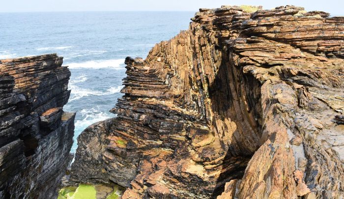 Folded sedimentary rocks from the Orkneys, Scotland. Photo: L. E. Augland