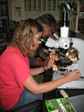 Shirt ,Microscope ,Researcher ,Scientific instrument ,Research.