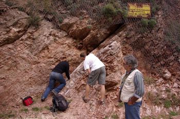 Bedrock ,Slope ,Geological phenomenon ,Garden tool ,Formation.