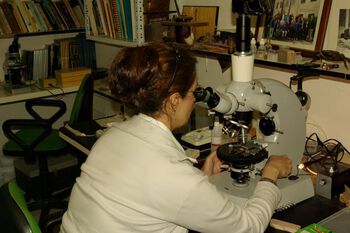 Microscope ,Bookcase ,Optometry ,Researcher ,Shelf.