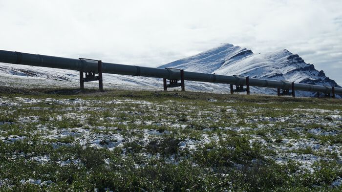 An example of infrastructure that is founded on soil with permafrost. A pipeline system for transporting oil through the Alaskan wilderness. Photo: Moritz Langer/AWI