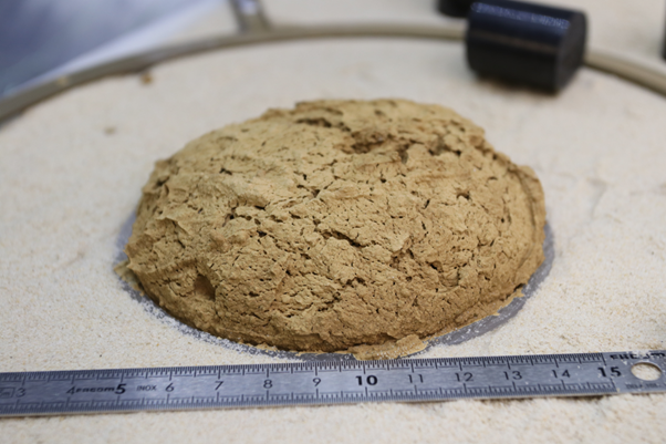 Photo: Mud containing only small amounts of water is very dense and has a high viscosity, inhibiting the escape of the resulting water vapour bubbles. This causes its volume to increase dramatically when exposed to Martian atmospheric pressure. The result can be something that looks like a cookie at first glance, but is actually a muddy blob made up of a frozen crust and a liquid interior full of large bubbles. Photo: Private