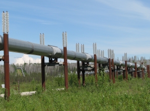 Alaska: A pipeline in the Fairbanks area, Alaska. Pipelines are structure which can be affected by thawing permafrost in the cround. Photo: Bernd Etzelmüller/UiO