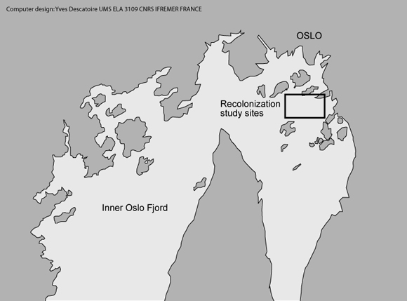 Map of the inner Oslofjord with the
            recolonization study sites