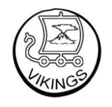 Logo for the VIKINGS project