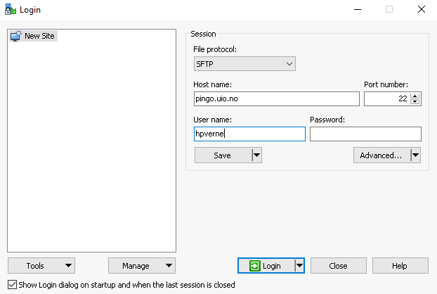 Screenshot showing WinSCP login config