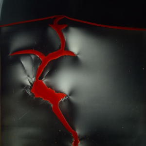 Polariscope photo of a 2D magma intrusion experiment where dyed viscous oil (red) has intruded into an elasto-plastic laponite gel. The white, continuous shadowy features correspond to a qualitative measure of shear stress in the gel, while the curvilinear discontinuities highlight fractures. The deformation structures in this experiment illustrate how a complex host rock rheology can result in complex emplacement mechanisms including both plastic and elastic deformation. Photo: B. D. Rogers / H. S. Bertelsen.