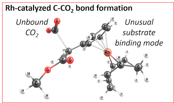 Example of transition state with CO2