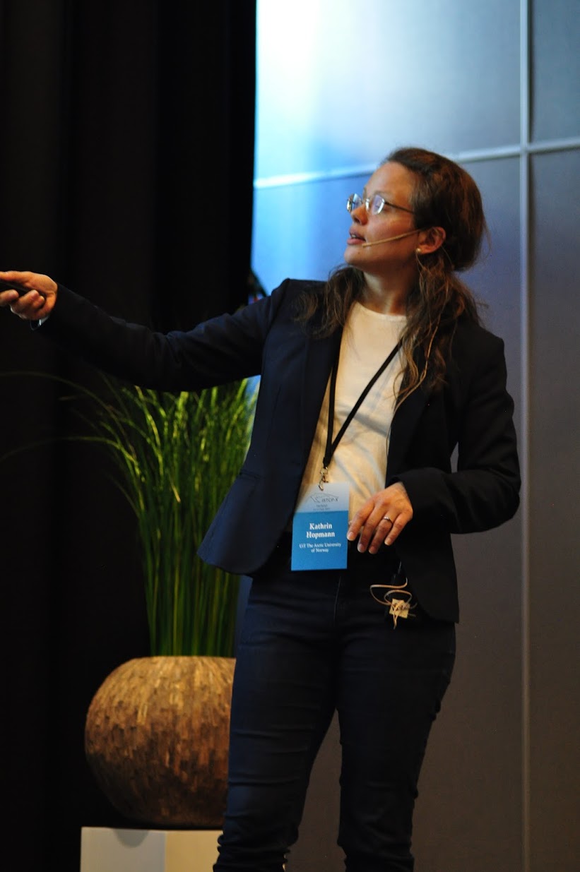 Hylleraas PI Kathrin Hopmann presenting her lecture on how to ensure your reaction mechanism is correct. Photo: Luca Frediani