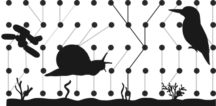 sort-hvit illustrasjon av snegle og fugl