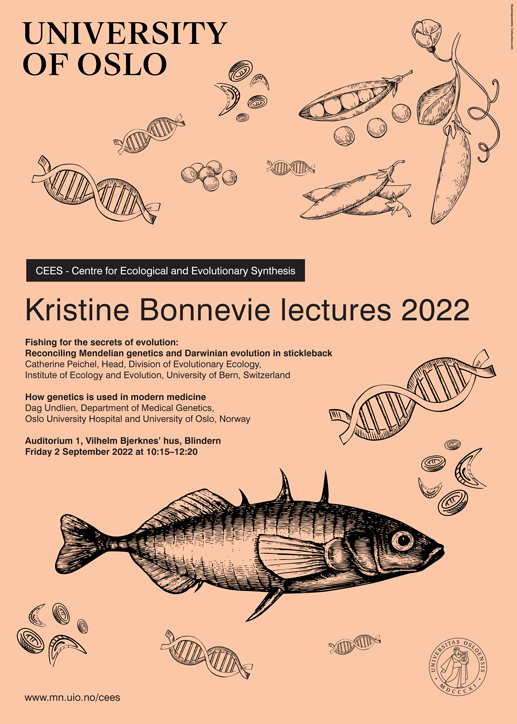 Plakaten for Kristine bonnevie-forelesningene 2022: Stingsild og DNA-dobbelhelikser.