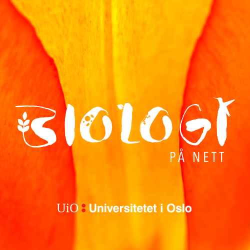 Logo for biologi på nett