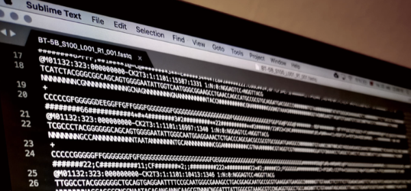 PC skjerm fylt med DNA-koder. sekvenser