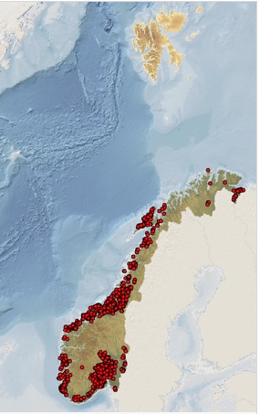 Kart fra Artsdatabanken med artsobservasjoner av elvemusling i Norge.