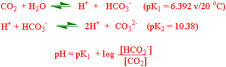 Karbondioksidlikevekt og pH