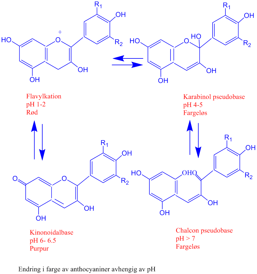 Anthocyanin pH skifte