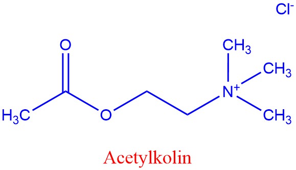 Kjemisk formel acetylkolin