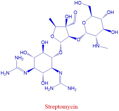 Sstreptomycin