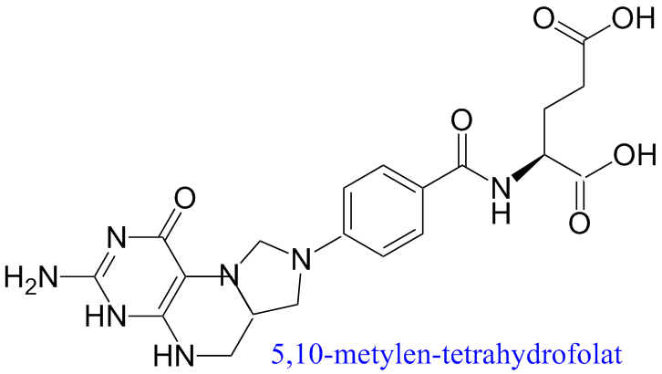 Tetrahydrofolat