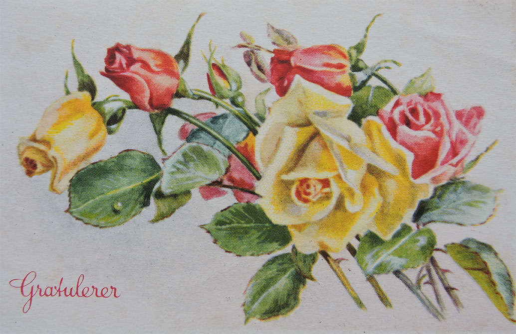 Pstkort med buett roser