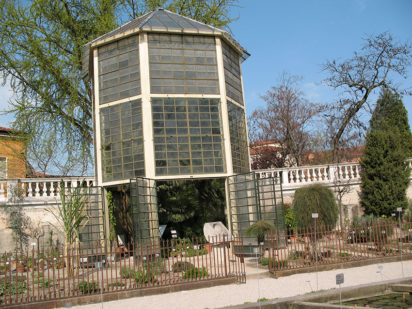 Botanisk hage Padua, Goethes palmehus