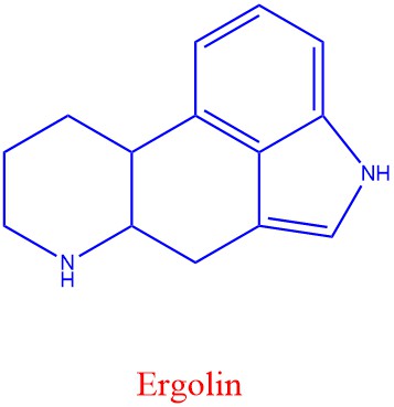 Ergolin