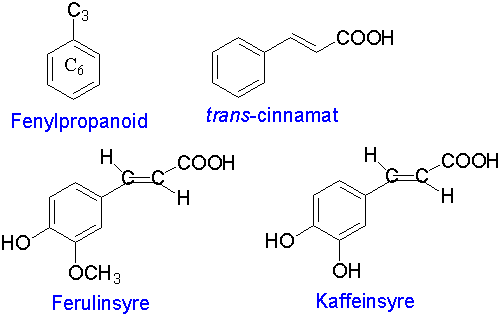 Fenylpropanoider