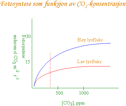 Fotosyntese som funksjon av CO2 
